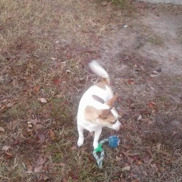 Meet your Posher, Scott - Picture 1 of 1